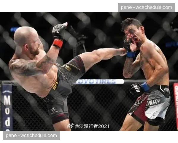 冠军亚历山大·沃尔卡诺夫斯基谈论转型与退役时间表