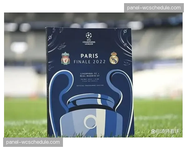 伦敦警方公布欧冠决赛期间大型活动安保计划